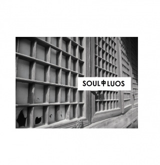 Книжка Роман Пиріг "SOULFLUOS : візуальна поезія" (фото 1)
