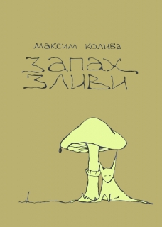 Книжка Максим Колиба "Запах зливи : Проза та поезія" (фото 1)