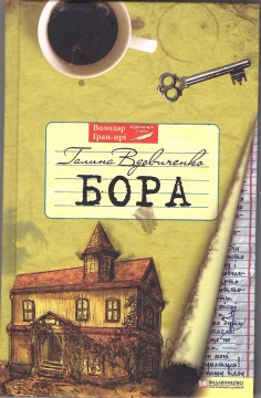 Книжка Галина Вдовиченко "Бора : роман" (фото 1)