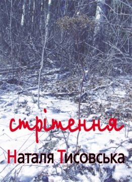 Книжка Наталя Тисовська "Стрітення : Оповідання" (фото 1)